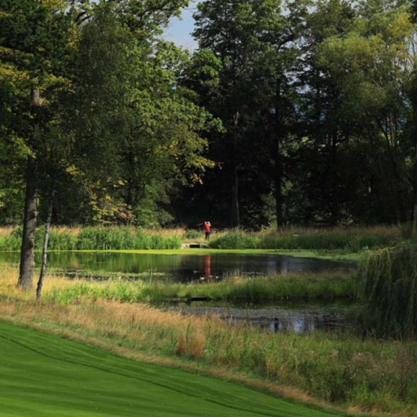 Golfbaan Oaks - PGA National Czech Republic - Afbeelding 5